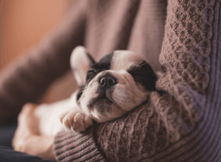 What are the Best Essential Oils to Help to Get to Sleep?