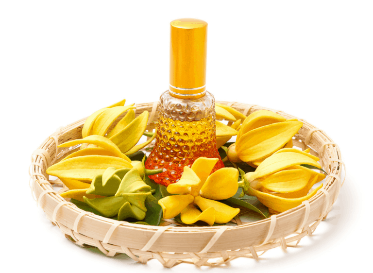 Ylang Ylang Essential Oil – Benefits and Uses