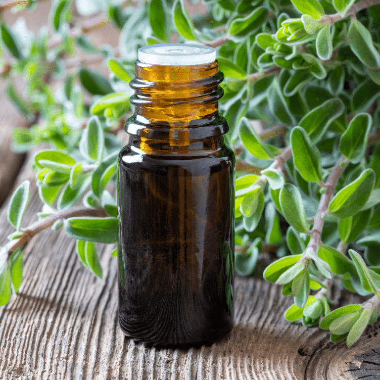 How to Use Essential Oils for Restless Leg Syndrome